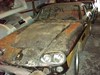 5393GT